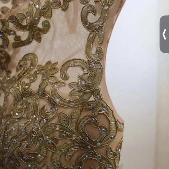 Elegant Gold and Pink Gown - Picture 7 of 9